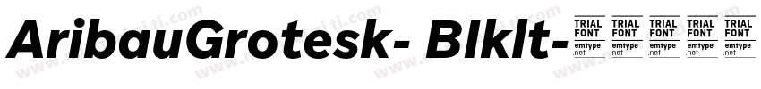 AribauGrotesk- BIklt字体转换